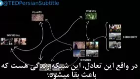 ساختمان‌هایی که طبیعت و مردم را در هم می‌آمیزند (۲۰۱۷) 