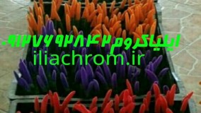 دستگاه مخملپاش djs کره09024745067