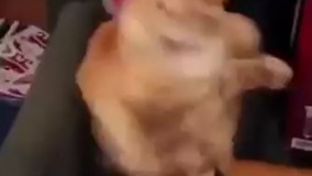 یکی_این_کلاهو_از_سرش_برداره_240