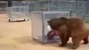 داره از ترس سکته میکنه