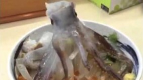 غذای دریایی زنده