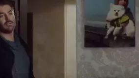 بهترین سکانس محمدرضا گلزار در سریال عاشقانه