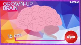 مراقبت از مغز  