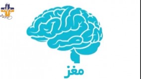 دانستنی ها - قسمت اول - مغز چگونه کار می کند؟  