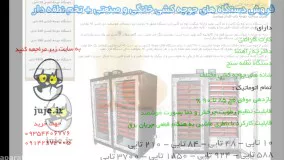 دستگاه جوجه کشی 3700 عددی،دستگاه بدون نقص برای گسترش تجارت