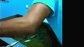 فروش وان های واترترانسفر 02156574663 ایلیاکالر 