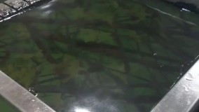 فروش دستگاه هیدروگرافیک 02156574663 ایلیاکالر 