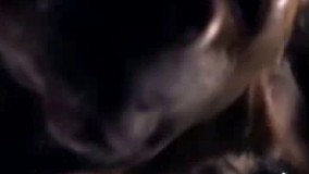 فیلم/ چه حیوانی سریع‌ تر از سگ موهایش را خشک می‌کند؟