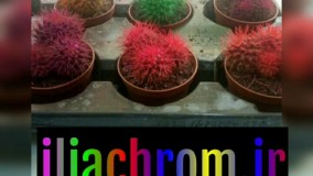 مخمل پاشی تمامی سطوح با کیفیت عالی 09127692842