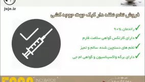 فروش بهترین نوع تخم نطفه دار سالم و تضمینی کبک