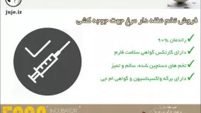 کسب سود از خرید تخم نطفه دار مرغ سالم و با کیفیت بالا