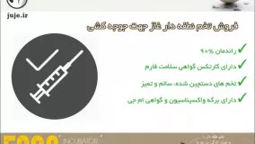 خرید تخم نطفه دار غاز مطمئن و سالم