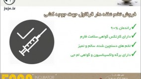 بهترین نوع تخم نطفه دار انواع پرنده (تخم نطفه دار قرقاول)