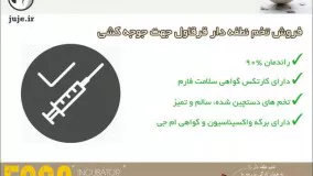 بهترین نوع تخم نطفه دار انواع پرنده (تخم نطفه دار قرقاول)