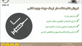 تخم نطفه دار اردک بدون لک، بدون بیماری، دارای اندازه مناسب