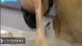 اتفاق خنده داری که توی برنامه تلوزیون افتاد