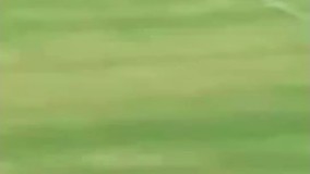 فیلم/ دریبل های تحقیر آمیز دروازبان ها به بازیکنان