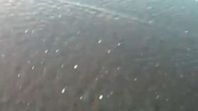 بهترین فیلم