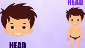 اعضای بدن به انگلیسی کله سر  