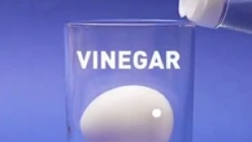 ترفندهای جالب با تخم مرغ   قسمت 1  