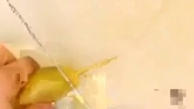 طرز تهیه سیب زمینی فنری 