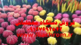 فروش ویژه دستگاه های مخملپاش09127692842