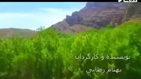 بخش هایی از مستند  شکوه زاگرس  