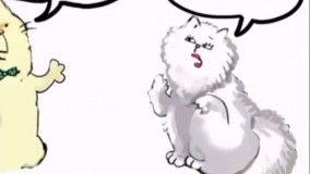 آرایشگاه حیوانات خانگی ژیوان