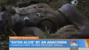 داخل شکم مار ،