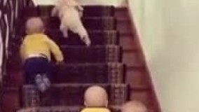 چهار قلوهای خیــلی دوست داشتنی و بامزه