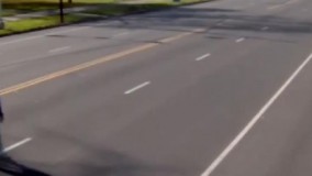 بلایی که آمریکایی ها بر سر یکی موافقان ترامپ آوردند