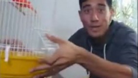  گلچین بهترین کلیپ های خنده دار خارجی جدید 2016 7