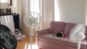  شعبده بازی های حرفه ای8