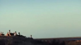  کلیپ فوق العاده "دنیای اسرار آمیز آمریکای جنوبی"