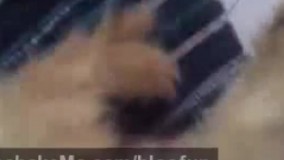 با عرض پوزش بابت این صحنه های دلخراش