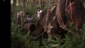 سریال از سرزمین شمالی قسمت 3