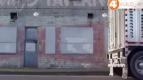 فاداری اسب و سگ