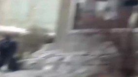 حمله حیوانات به انسان از فاصله چند سانتیمتری -گوریل