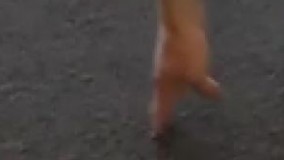 ششمین حرکت ورزشی برای پاها