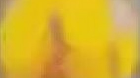 تماشاگر بد شانس????