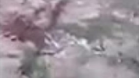 دستگیری و اعدام تک تیراندازهای داعش توسط ارتش عراق