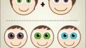 چشم های بچه تون چه رنگی میشه؟