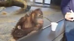  خارق العاده ترین تردستی جالب و ترفند شعبده بازی ....