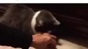 رابطه بین حقوق، شما و هزینه ها ...