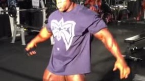 فیگور فیل هیث