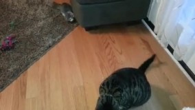 وقتی به بچه های فامیل رو میدی