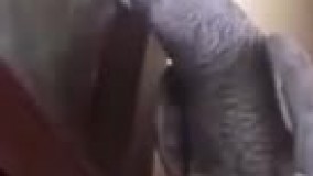  دوره زمونه عوض شده: طوطی زن میخواد!