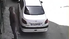  دزدی واقعی 206 در چند ثانیه