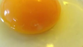 خواص جالب تخم مرغ