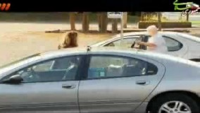 نصف شدن ماشین